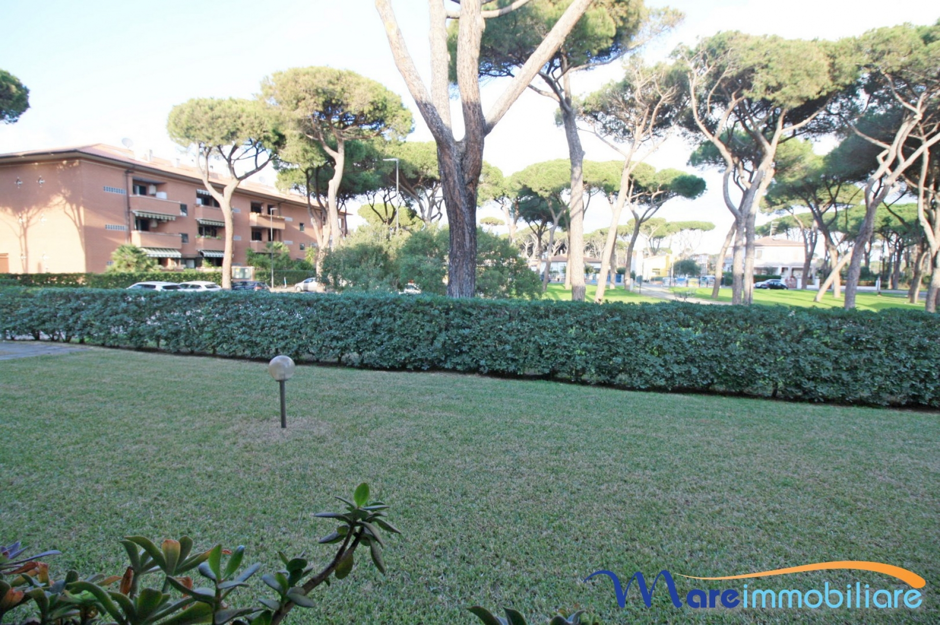 Zona Tombolo trilocale con veranda spaziosa